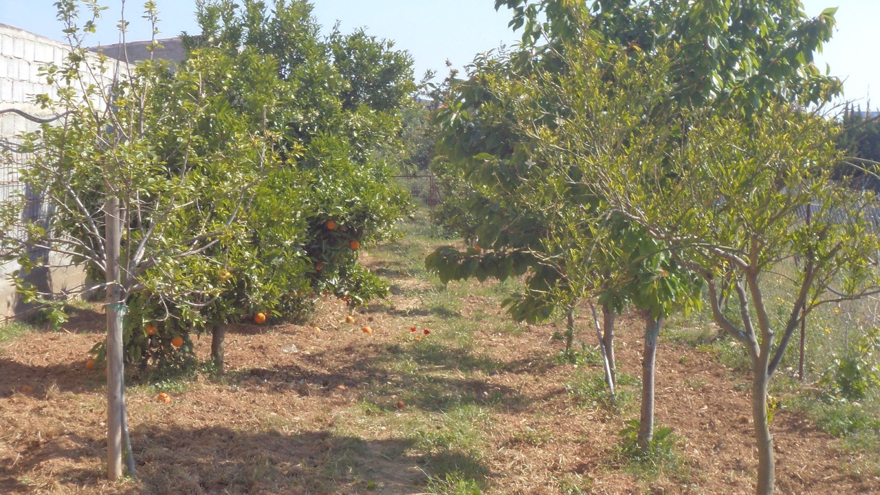 Photo of Outdoor in Rafina-Pikermi