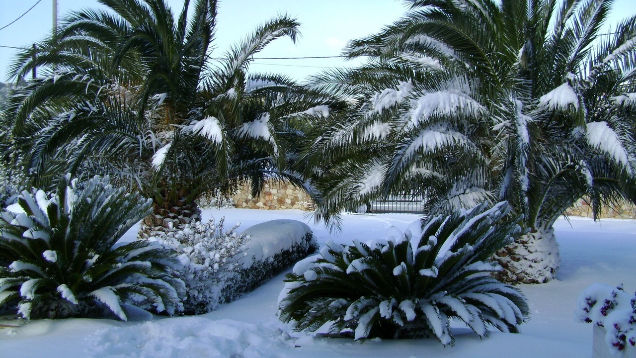 Photo of Others in Rafina-Pikermi