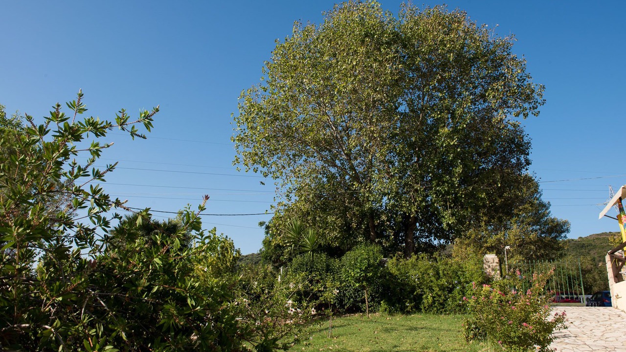 Photo of Outdoor in Kateleios