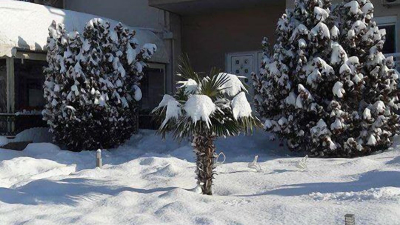 Photo of Outdoor in Soufli