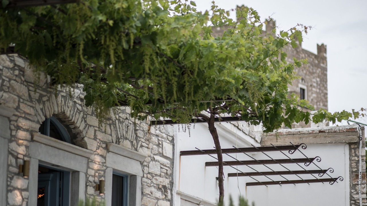 Photo of Outdoor in Aperathos