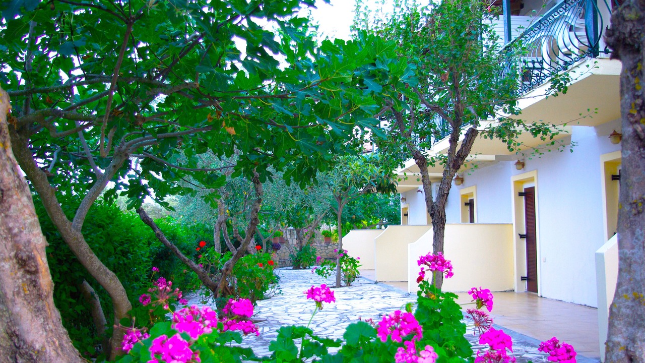 Photo of Outdoor in Neromilos