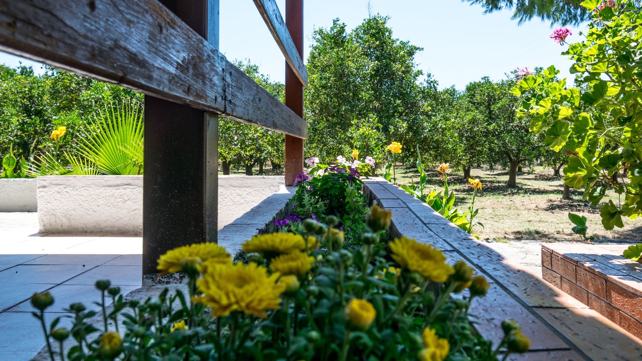 Photo of Outdoor in Gythio