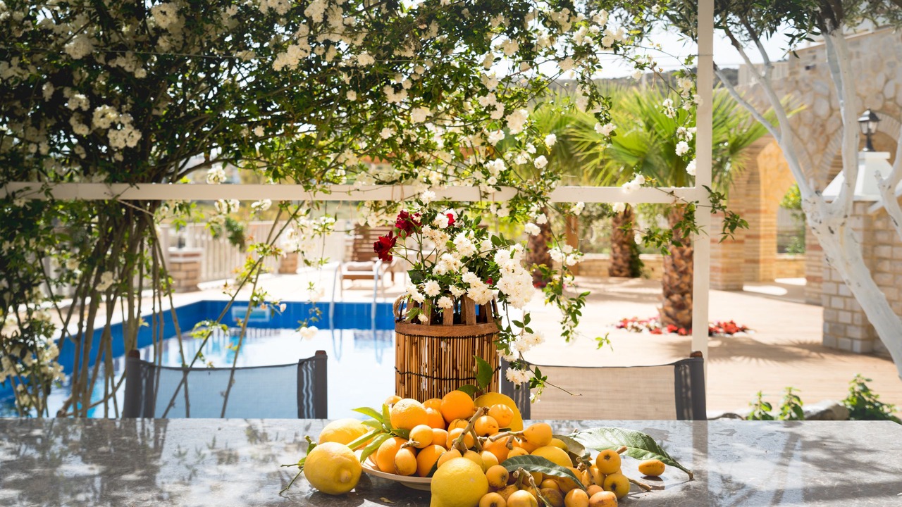 Photo of Patio Balcony in Kamilari