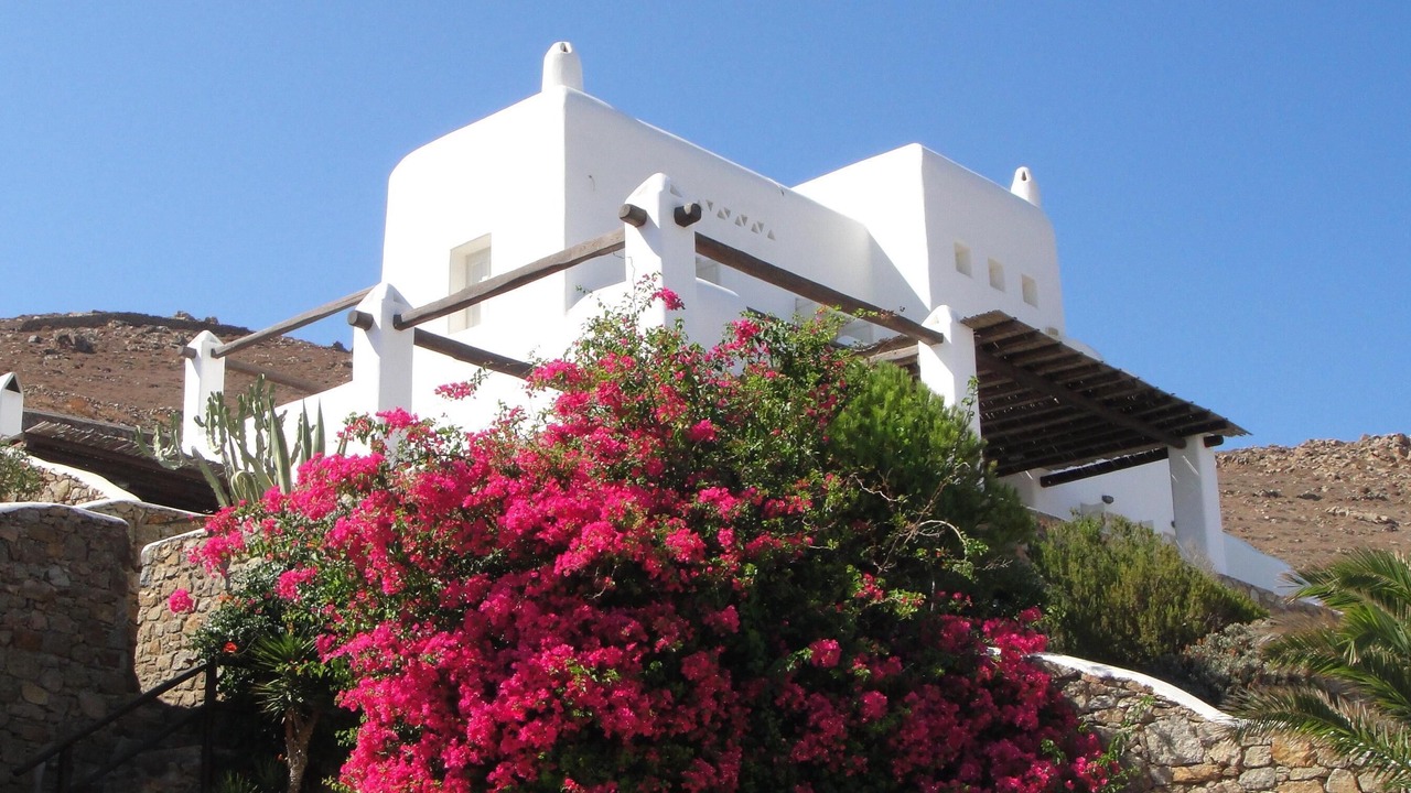 Photo of Others in Mykonos
