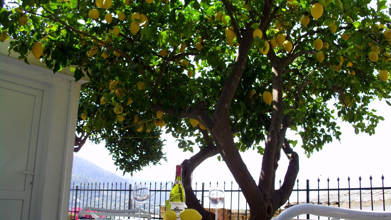 Photo of Outdoor in Glossa