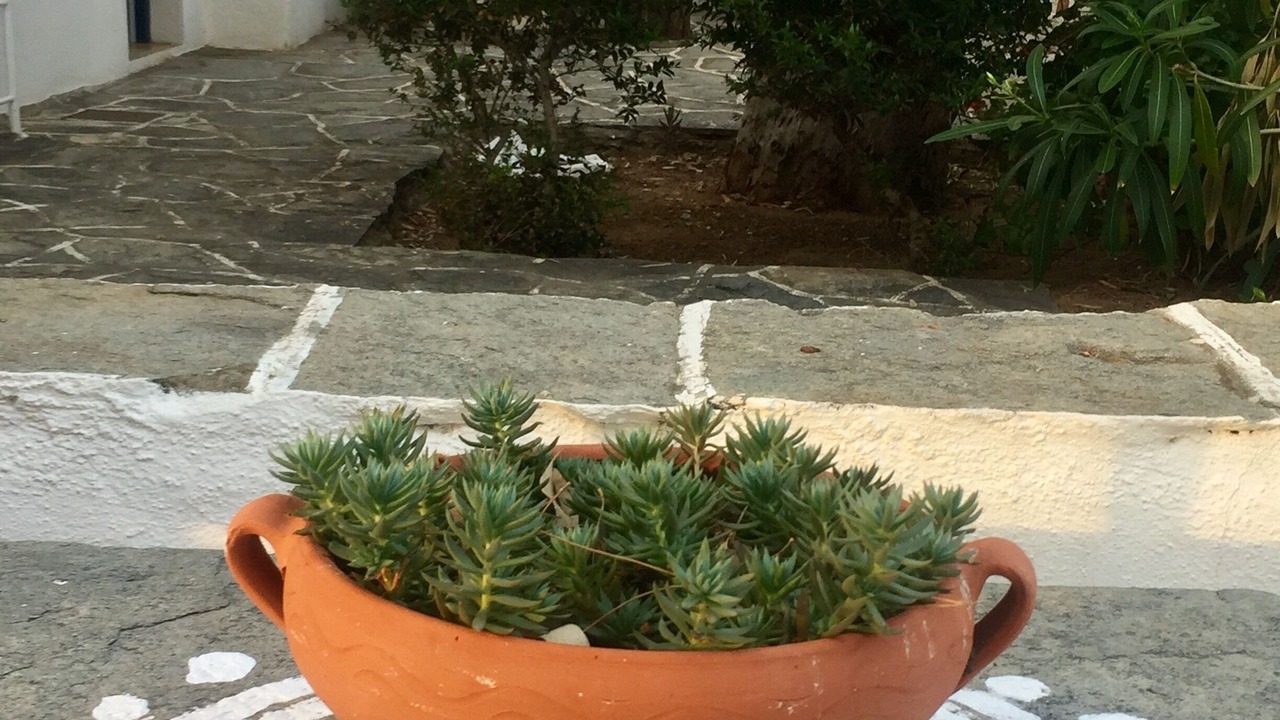 Photo of Outdoor in Kamares