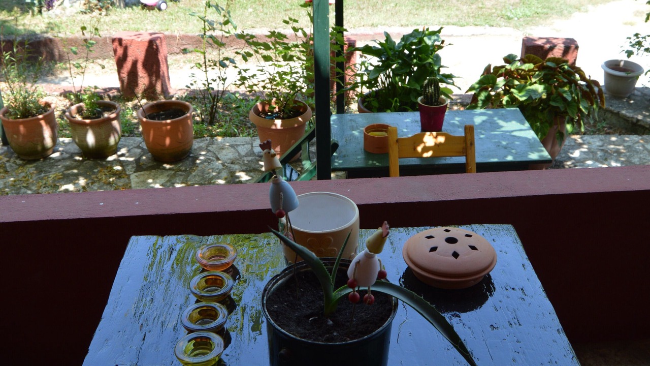 Photo of Outdoor in Parelia