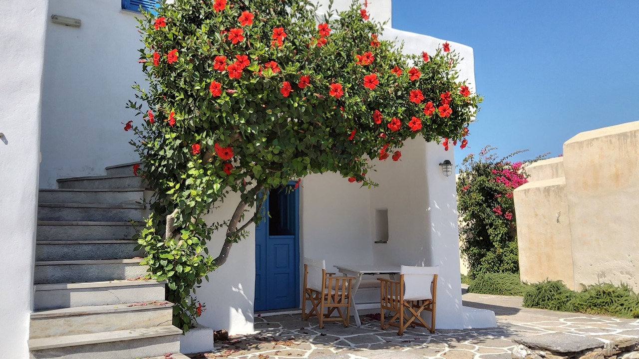 Photo of Outdoor in Paros