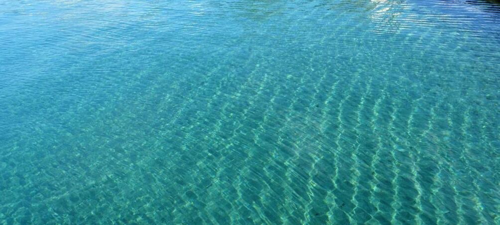 Photo of Others in Nea Makri