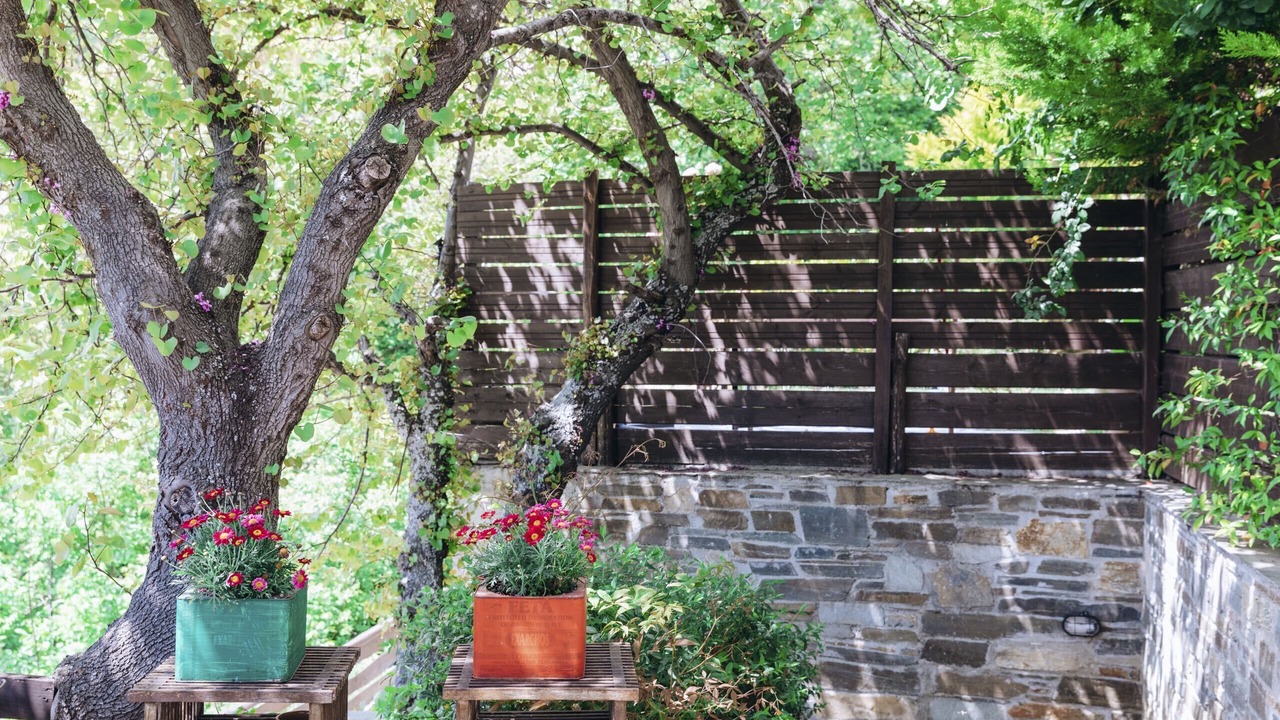 Photo of Outdoor in South Pelion