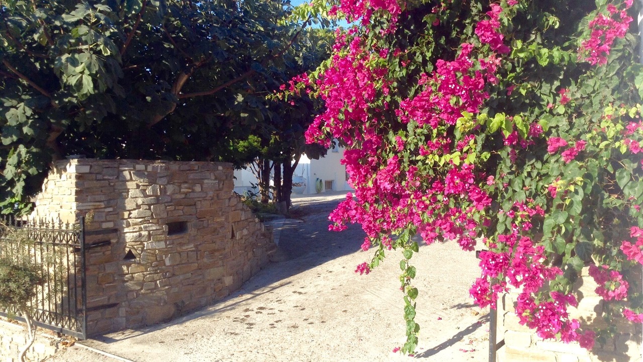Photo of Outdoor in Krotiri