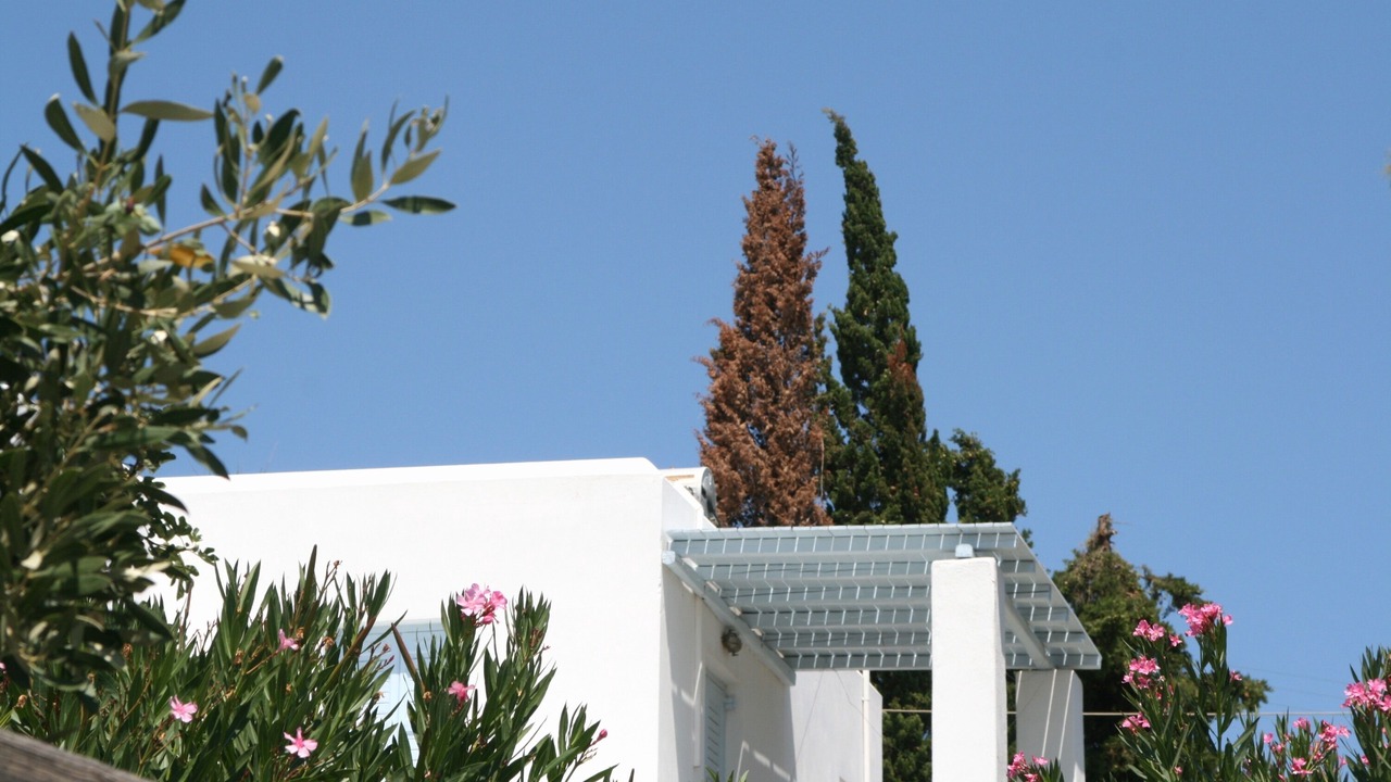 Photo of Outdoor in Krotiri