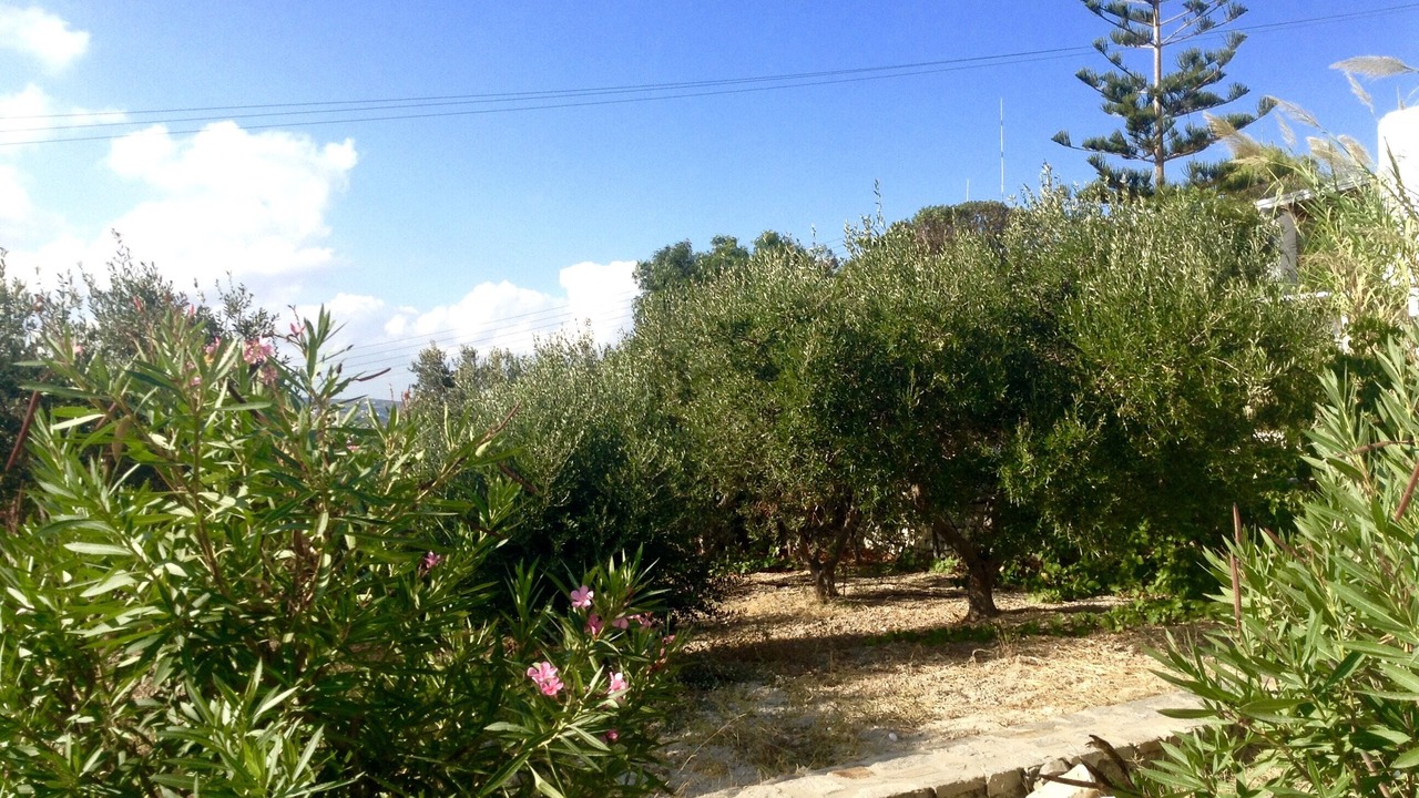 Photo of Outdoor in Krotiri