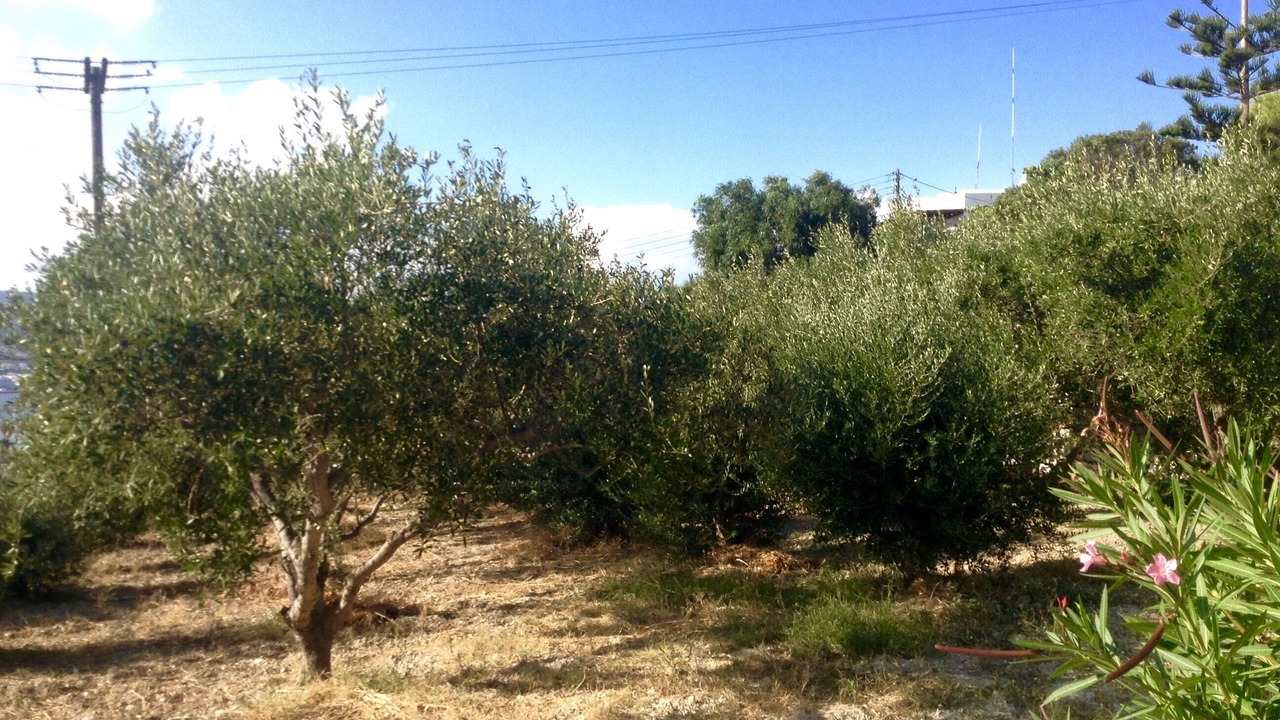 Photo of Outdoor in Krotiri