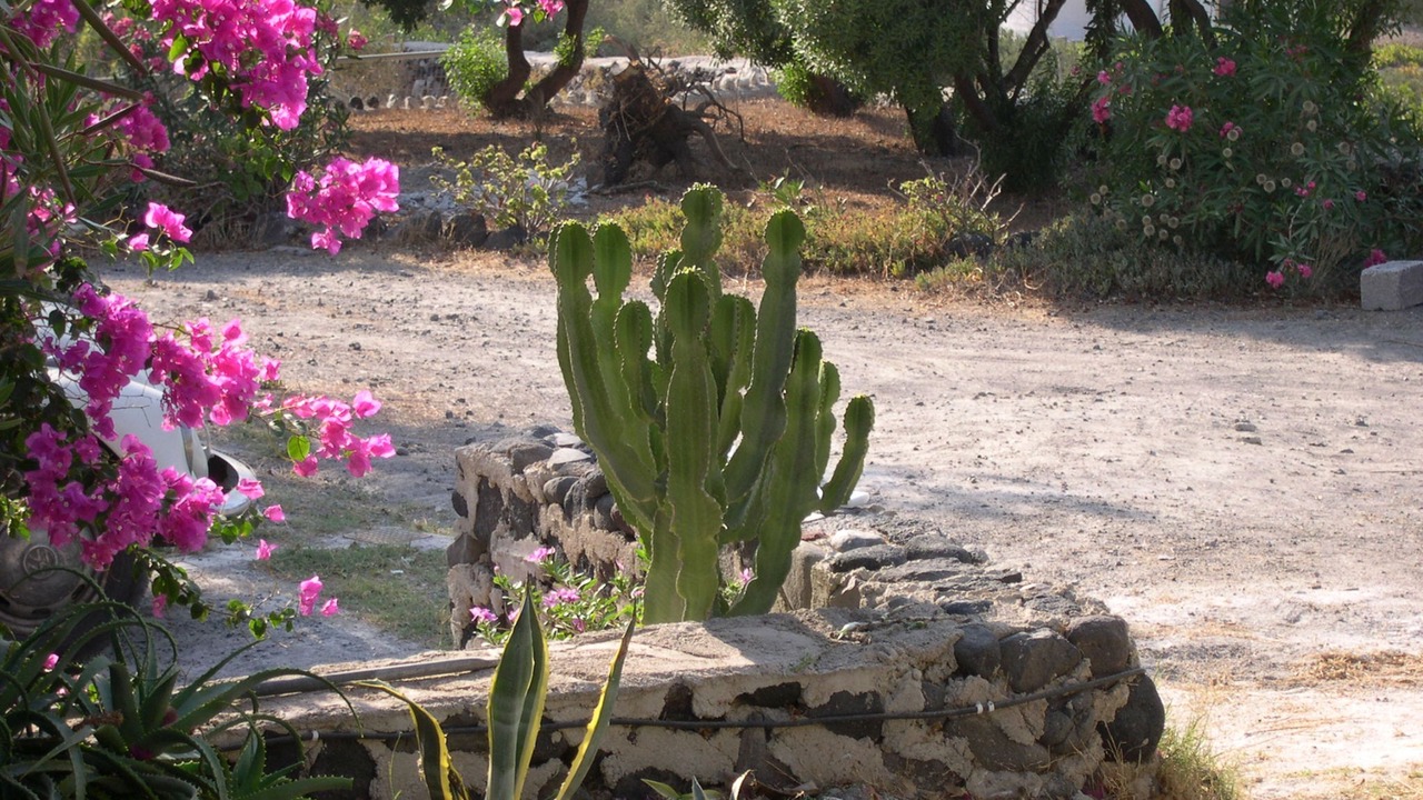 Photo of Outdoor in Kamari