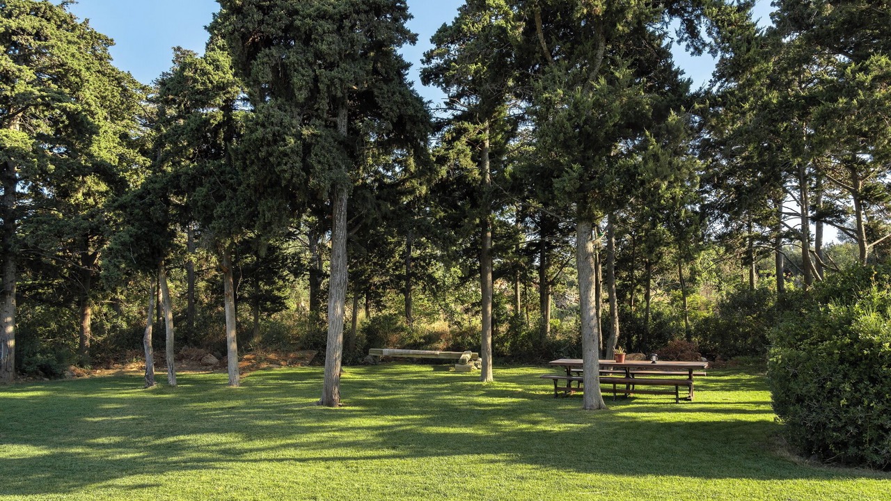 Photo of Outdoor in Atsipópoulon