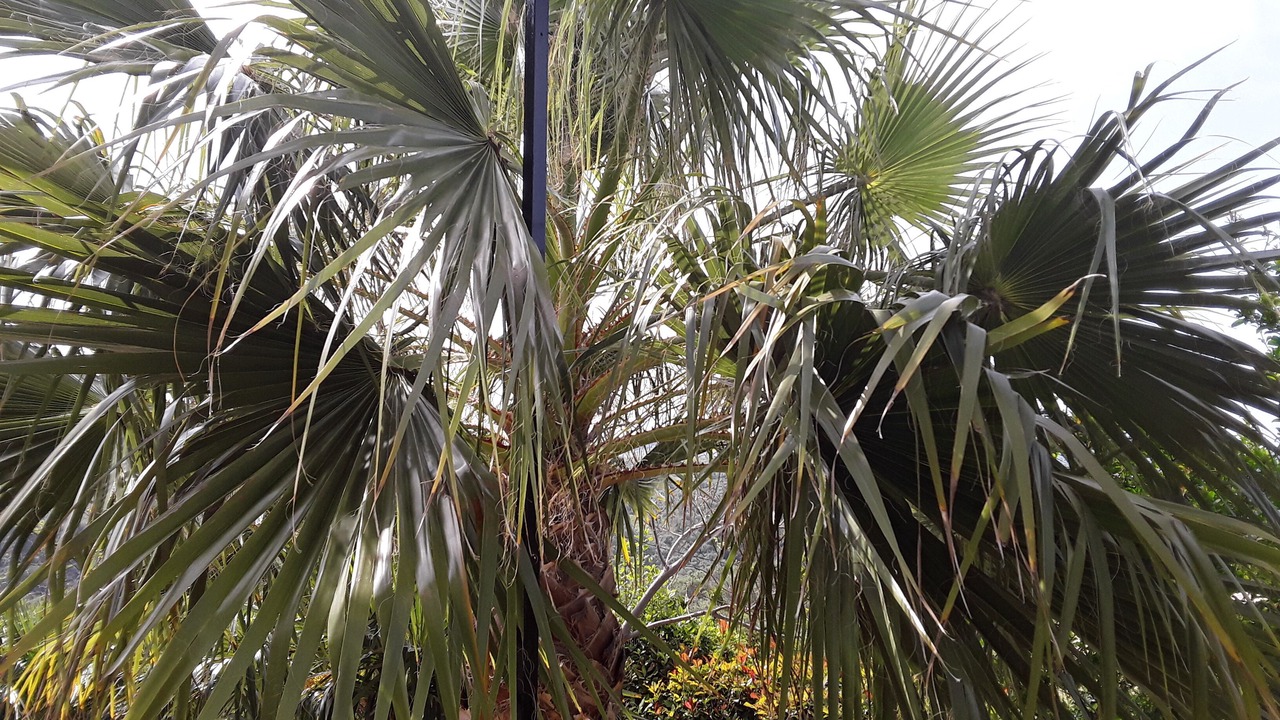 Photo of Outdoor in Darmarochori