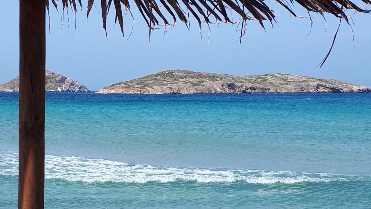 Photo of Others in Posidonia