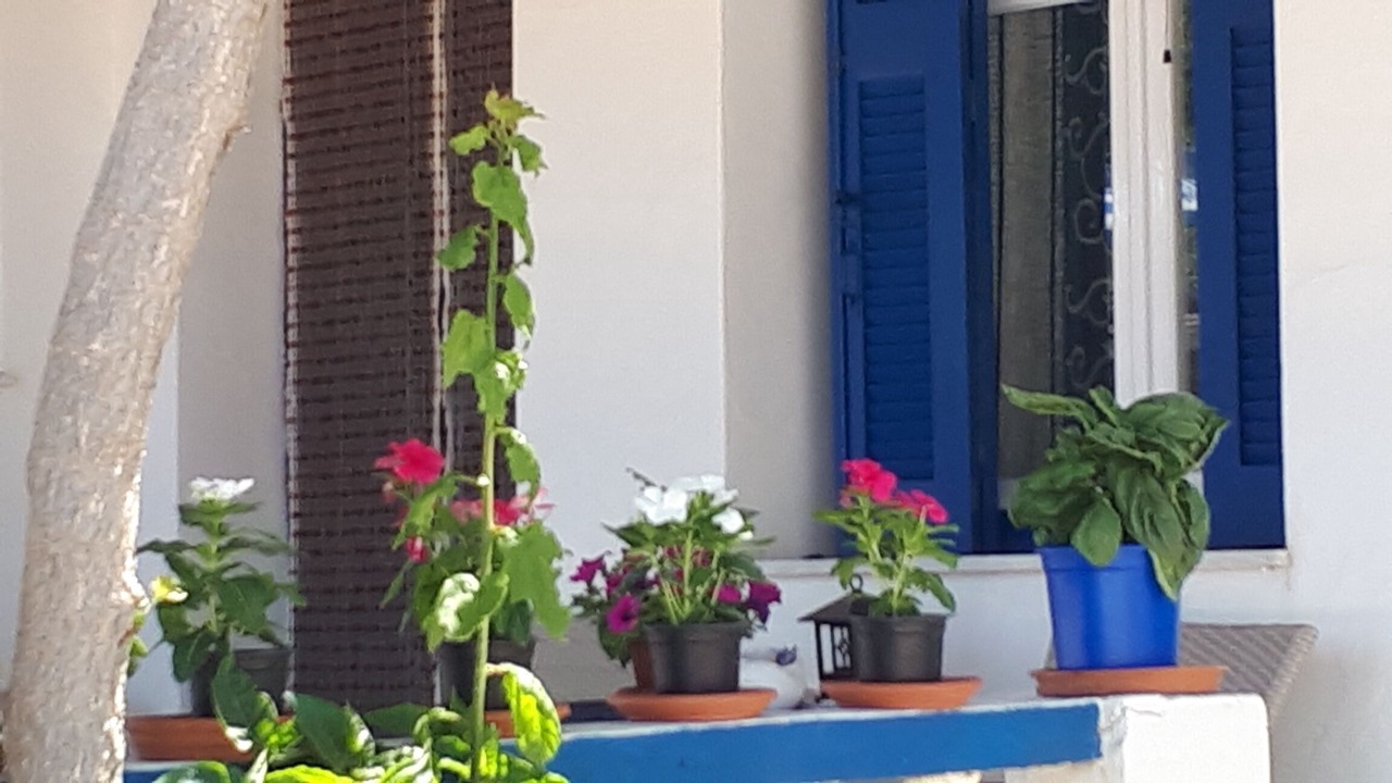 Photo of Outdoor in Posidonia