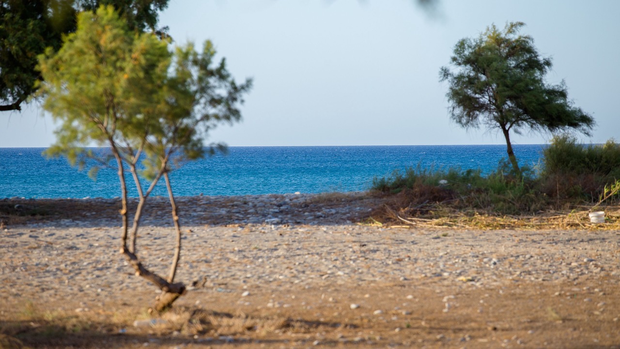 Photo of Others in Kamisiana