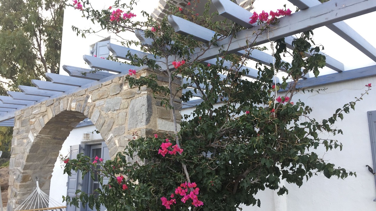 Photo of Outdoor in Paros