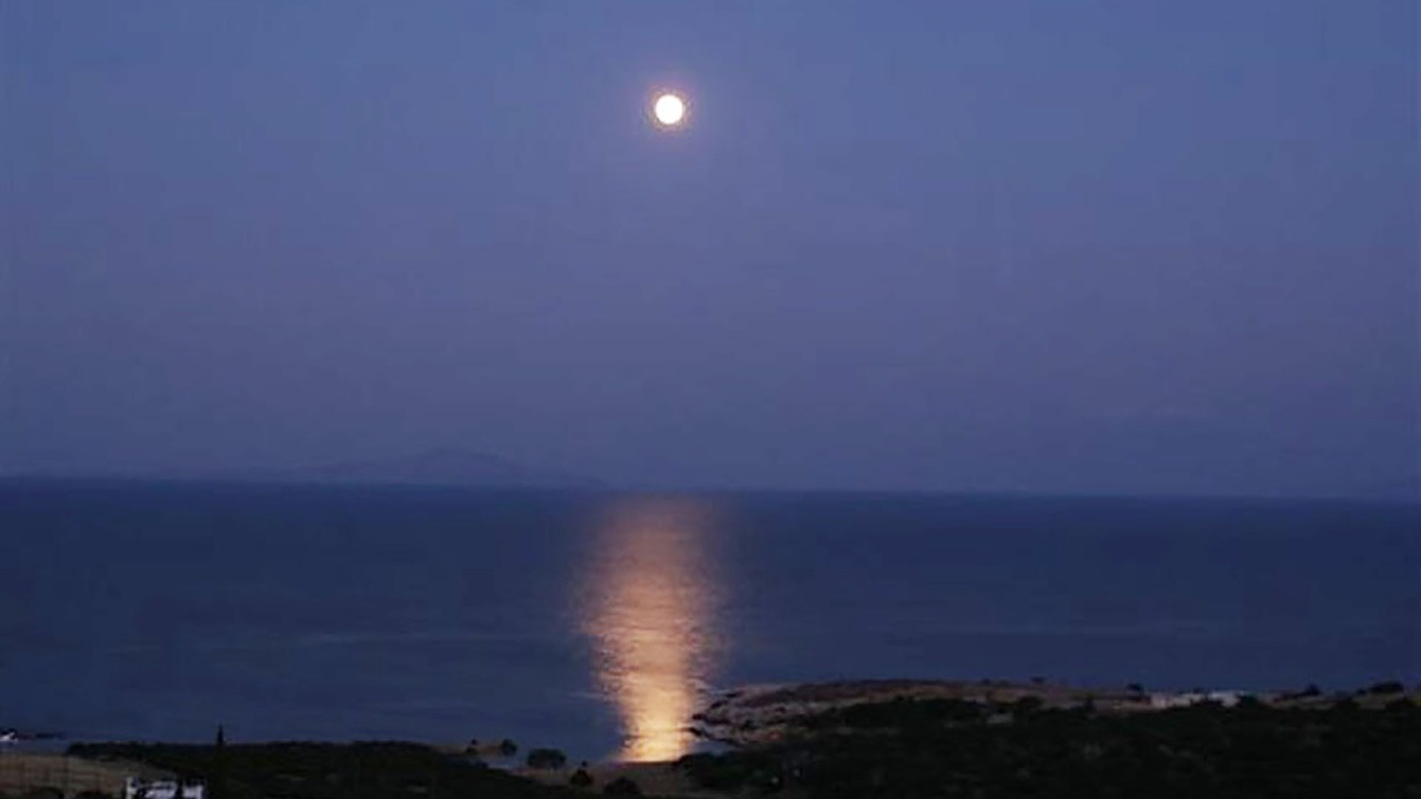 Photo of Others in Paros
