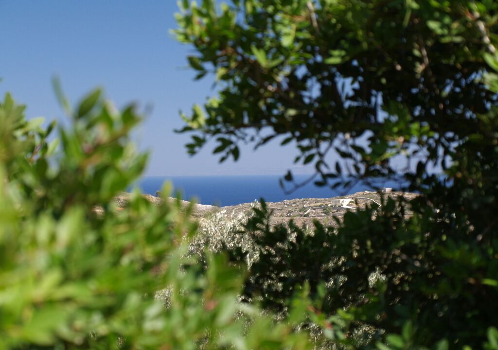 Photo of Others in Syros