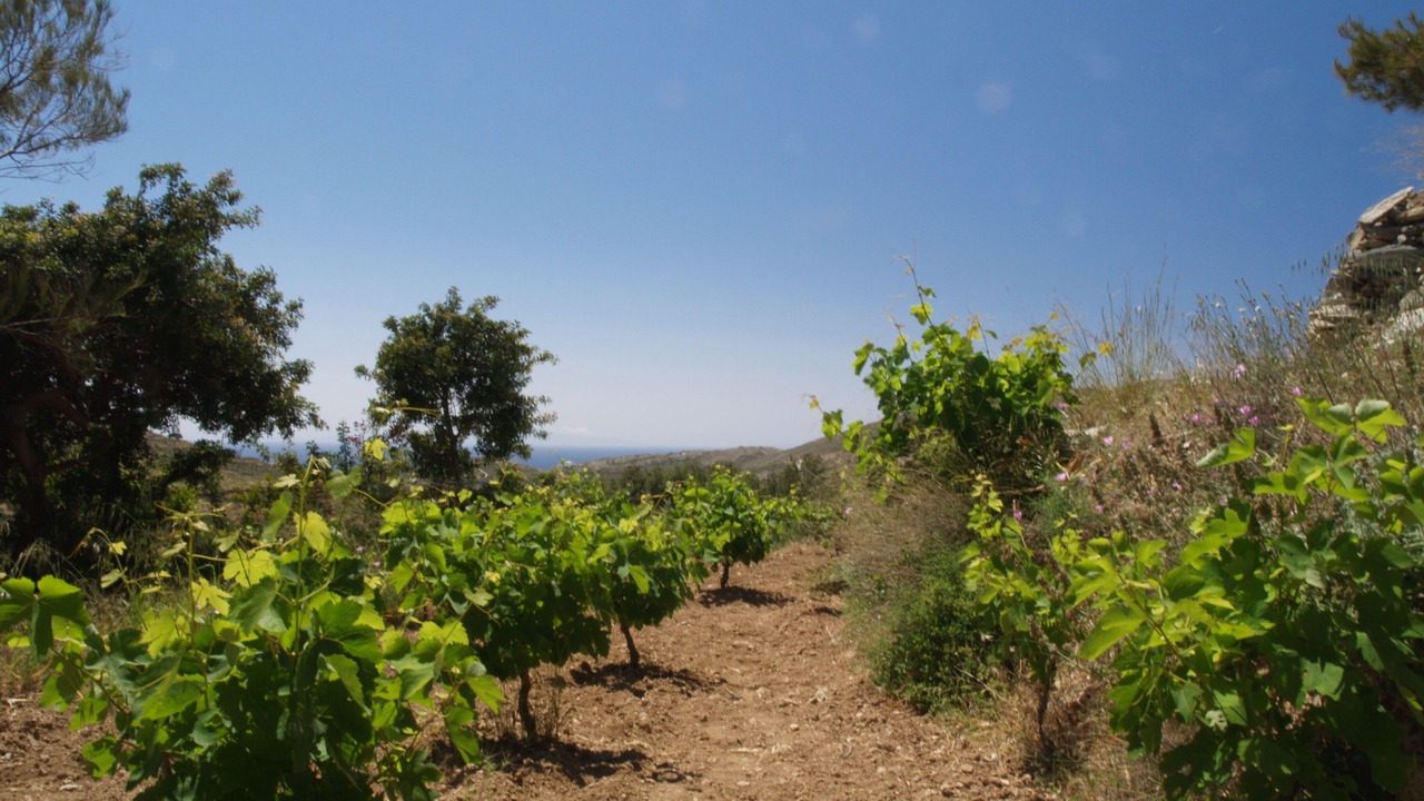 Photo of Outdoor in Syros