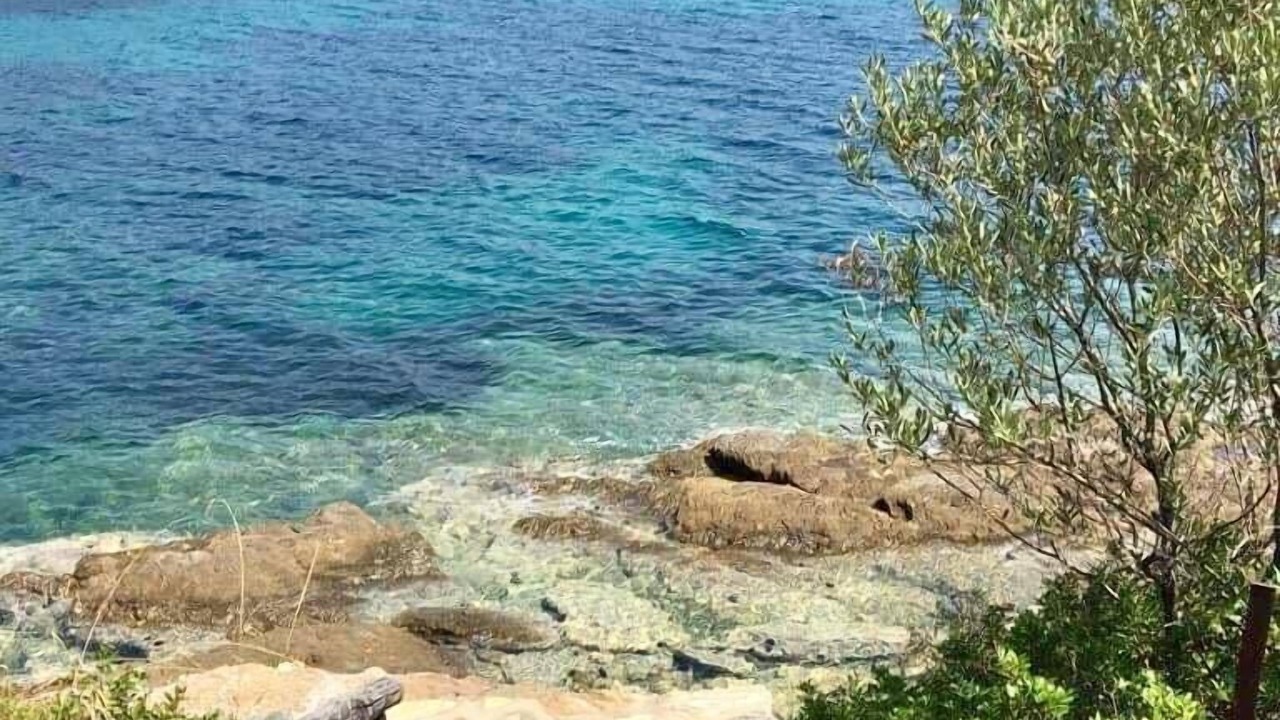 Photo of Others in Sithonia