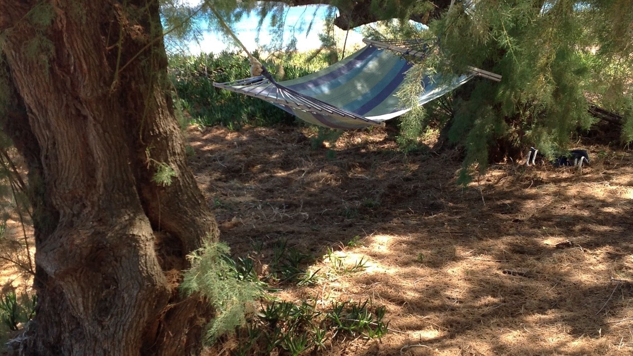 Photo of Others in Koroni