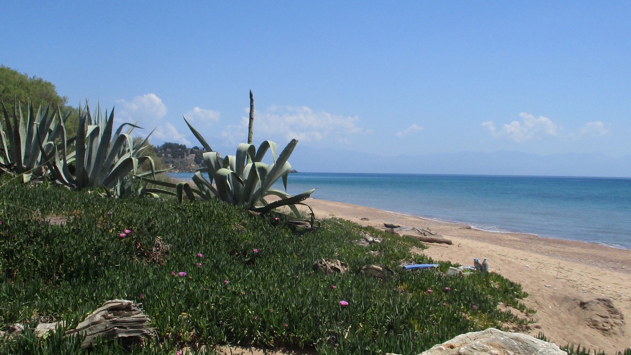 Photo of Others in Koroni