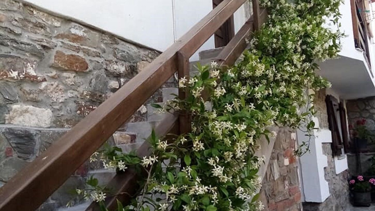 Photo of Outdoor in Agios Nikolaos