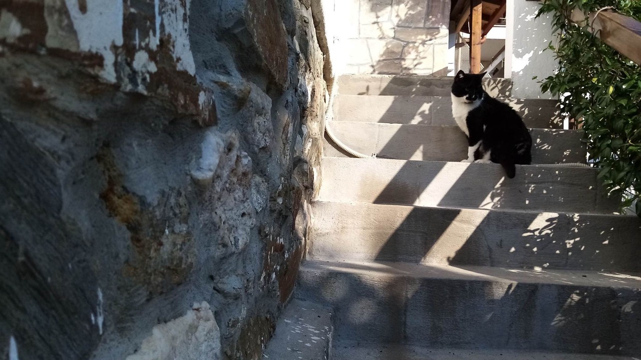 Photo of Outdoor in Agios Nikolaos