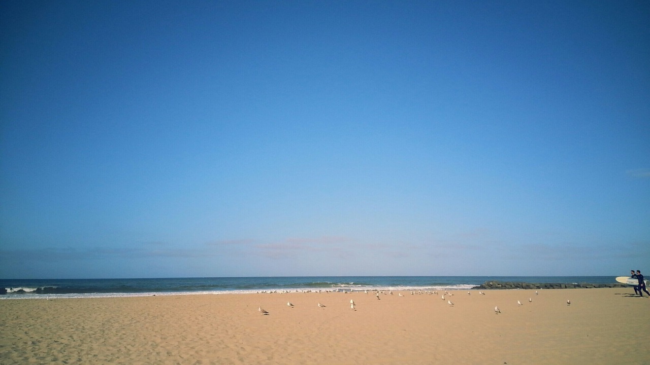 Photo of Others in West Newport