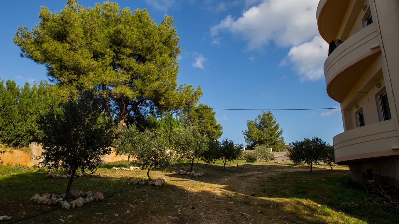 Photo of Outdoor in Chania Town