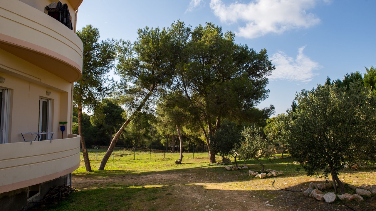 Photo of Outdoor in Chania Town