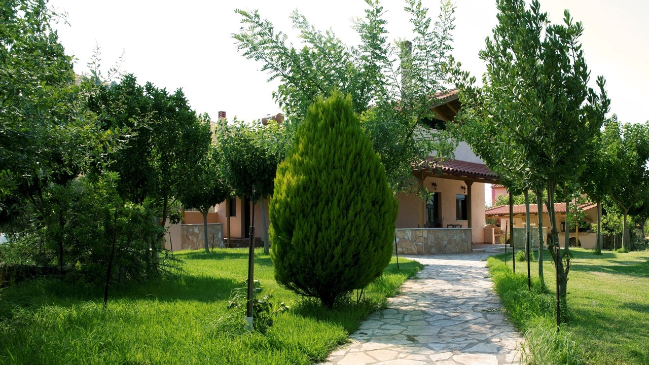 Photo of Outdoor in Nea Tirintha