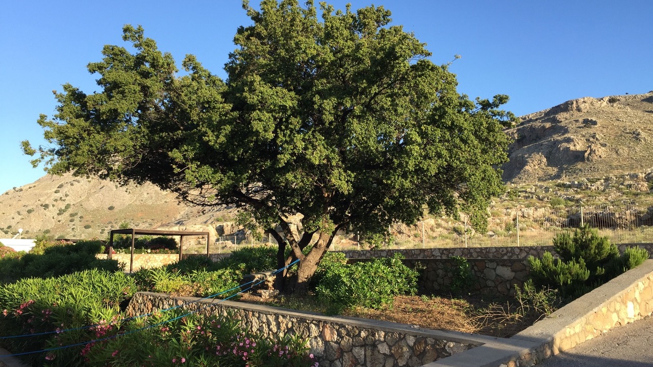 Photo of Outdoor in Lindos