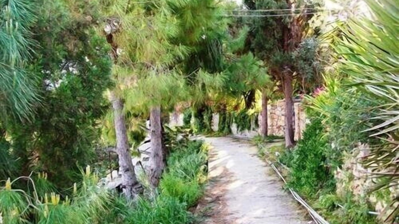 Photo of Others in Koroni
