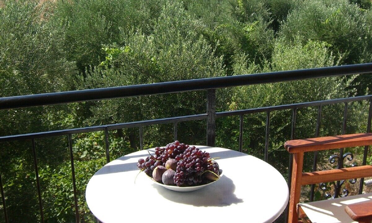 Photo of Patio Balcony in Koroni