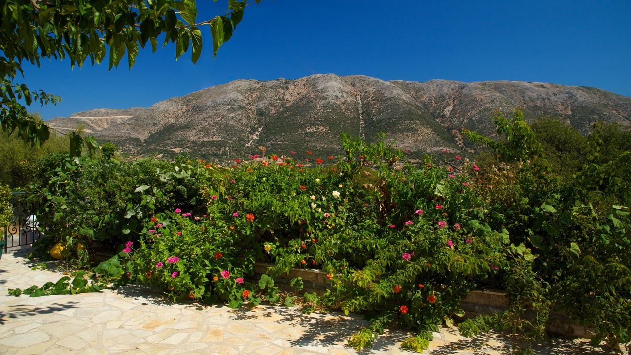 Photo of Outdoor in Makriotika