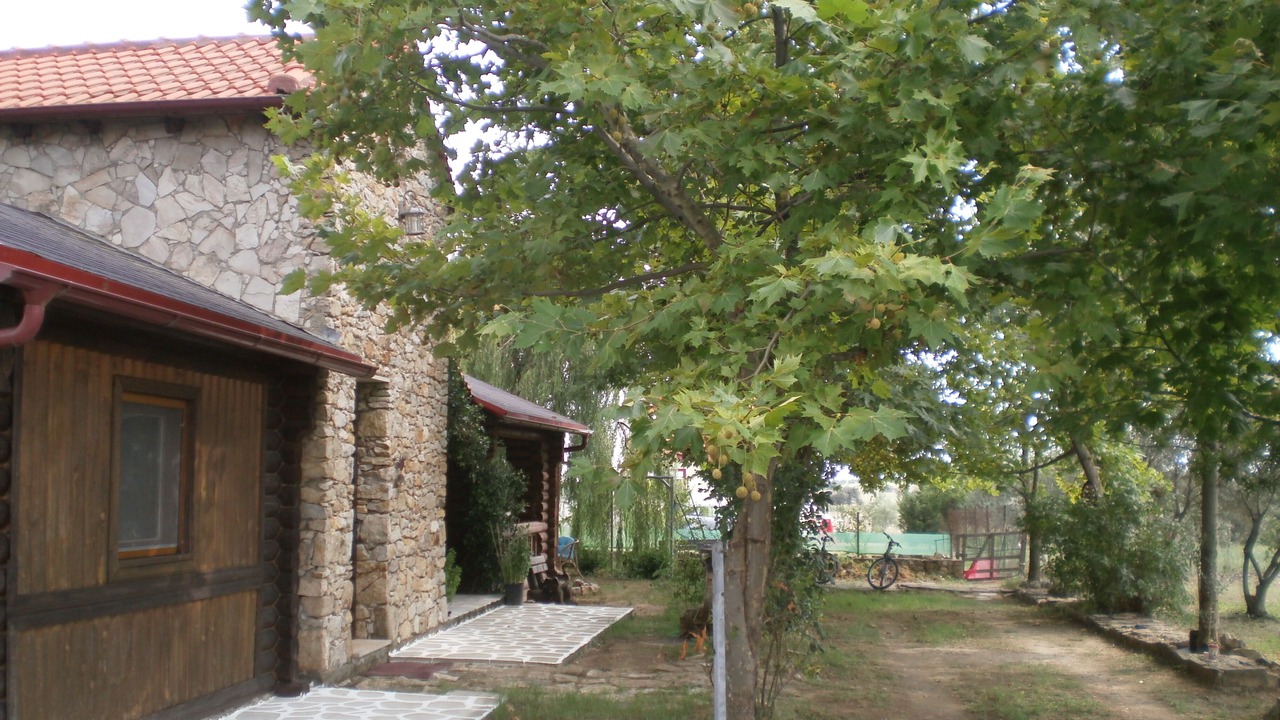 Photo of Outdoor in Avdira