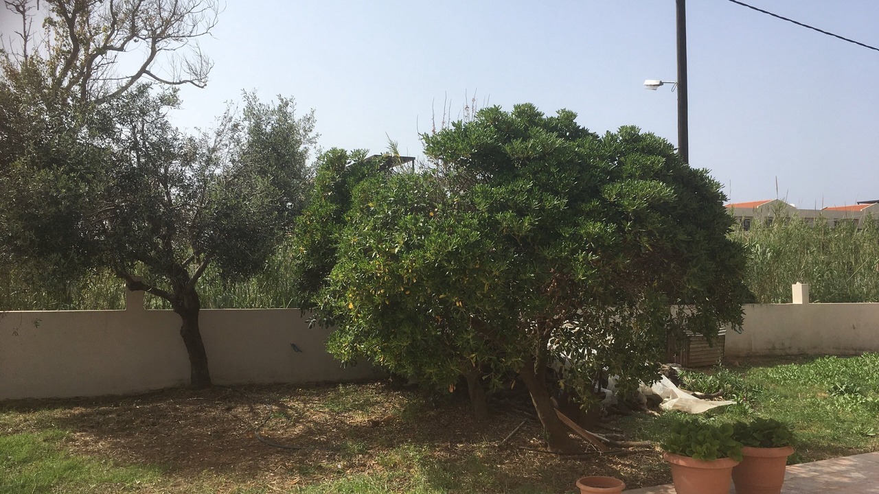 Photo of Others in Pyrgos Psilonerou