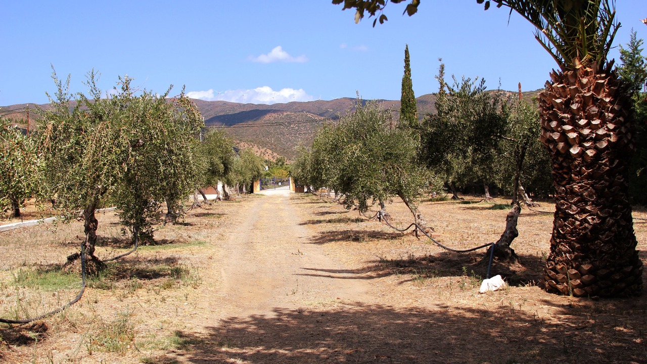Photo of Outdoor in Pigadia