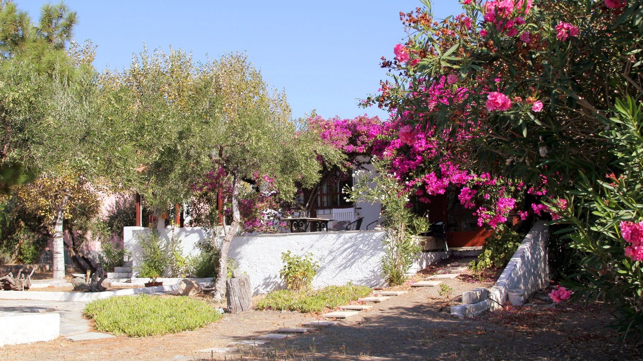 Photo of Outdoor in Pigadia