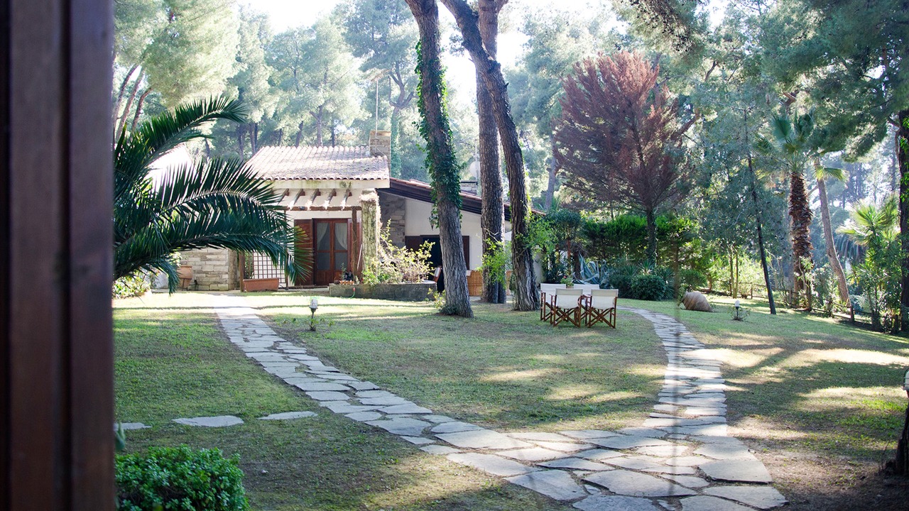 Photo of Others in Kassandra