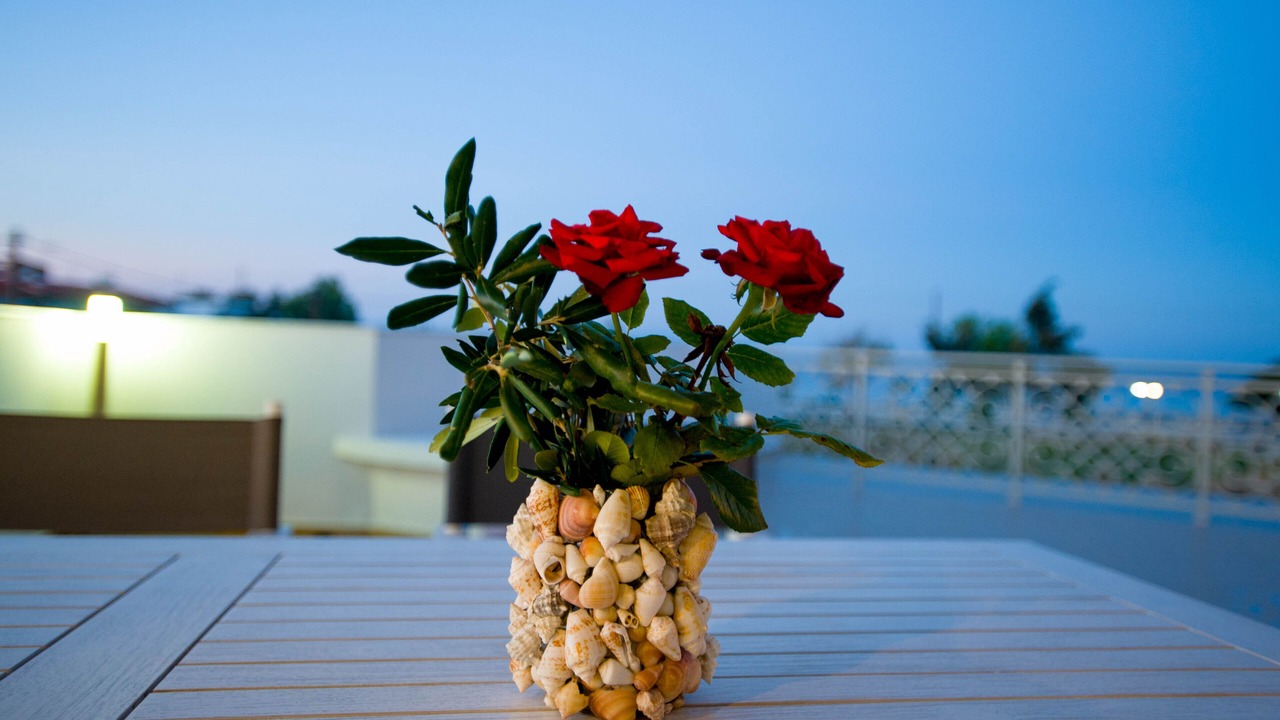 Photo of Outdoor in Ialyssos