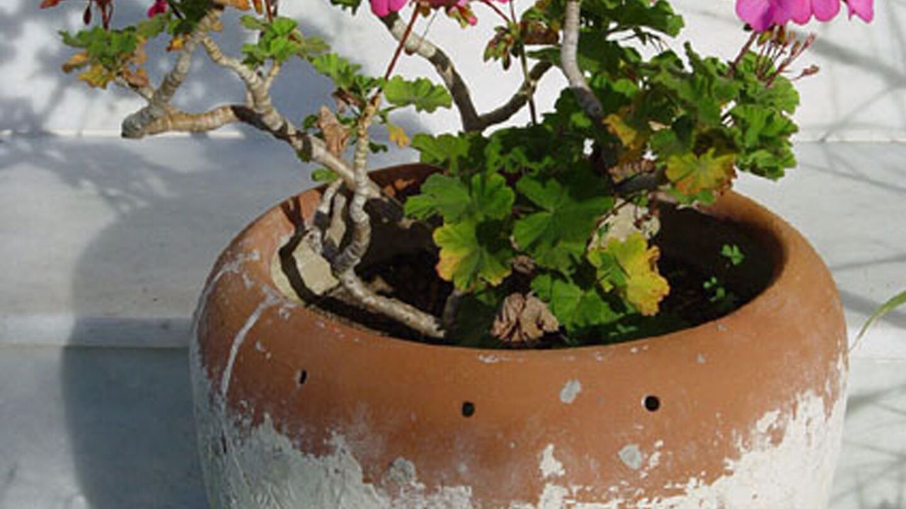 Photo of Outdoor in Ialyssos