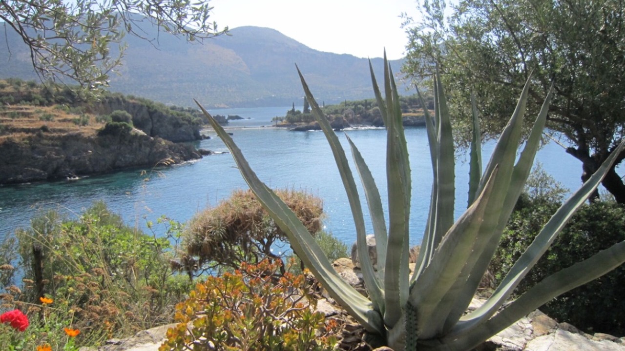 Photo of Outdoor in East Mani